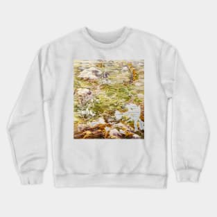 Yellowstone National Park Crewneck Sweatshirt